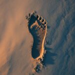 Huellas Profética Durante la Vida